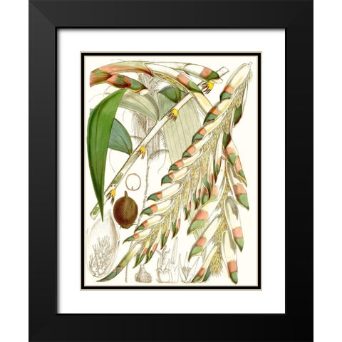 Tropical Variety I Black Modern Wood Framed Art Print with Double Matting by Curtis