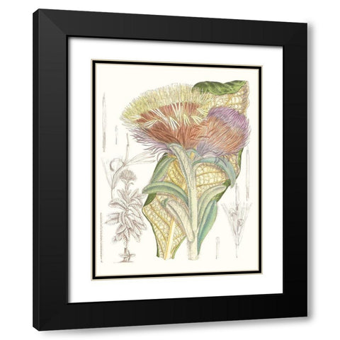 Tropical Variety IX Black Modern Wood Framed Art Print with Double Matting by Curtis