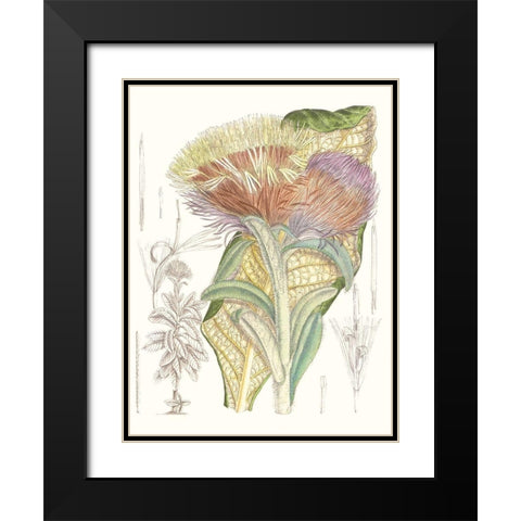 Tropical Variety IX Black Modern Wood Framed Art Print with Double Matting by Curtis