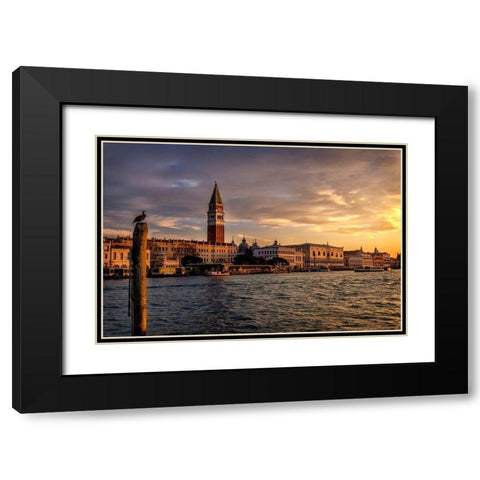 Birds View Black Modern Wood Framed Art Print with Double Matting by Head, Danny