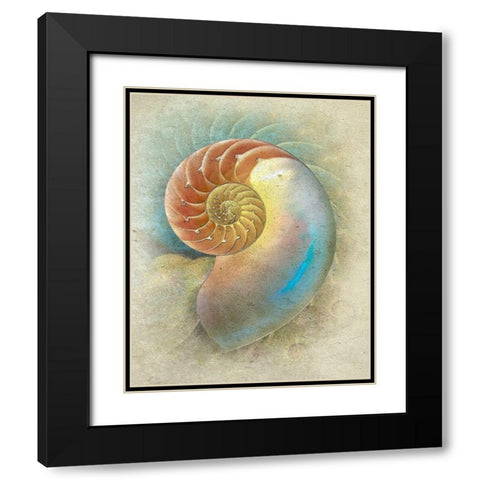 Aquatica II Black Modern Wood Framed Art Print with Double Matting by Hunziker, Steve