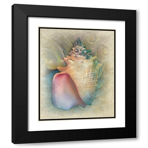 Aquatica IV Black Modern Wood Framed Art Print with Double Matting by Hunziker, Steve