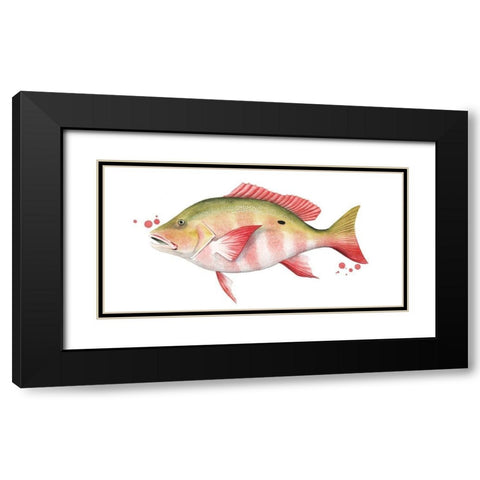 Chromatic Catch II Black Modern Wood Framed Art Print with Double Matting by Popp, Grace