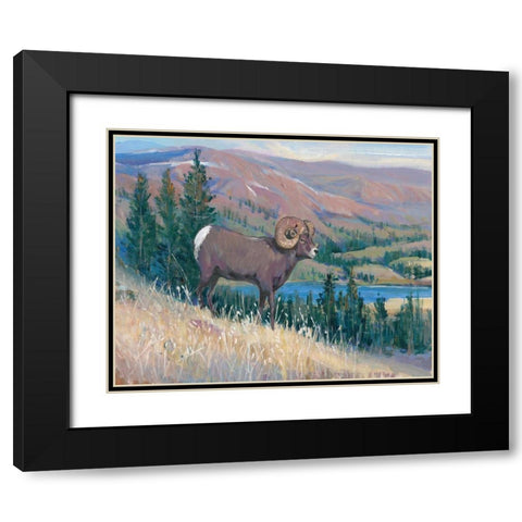 Animals of the West III Black Modern Wood Framed Art Print with Double Matting by OToole, Tim