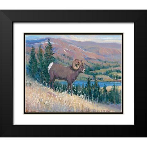 Animals of the West III Black Modern Wood Framed Art Print with Double Matting by OToole, Tim
