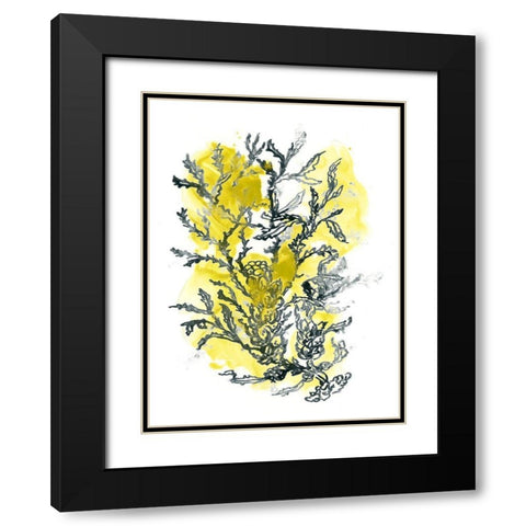 Citron Sea Kelp II Black Modern Wood Framed Art Print with Double Matting by Vess, June Erica