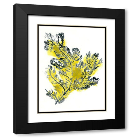 Citron Sea Kelp IV Black Modern Wood Framed Art Print with Double Matting by Vess, June Erica