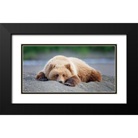 Bear Life X Black Modern Wood Framed Art Print with Double Matting by PHBurchett