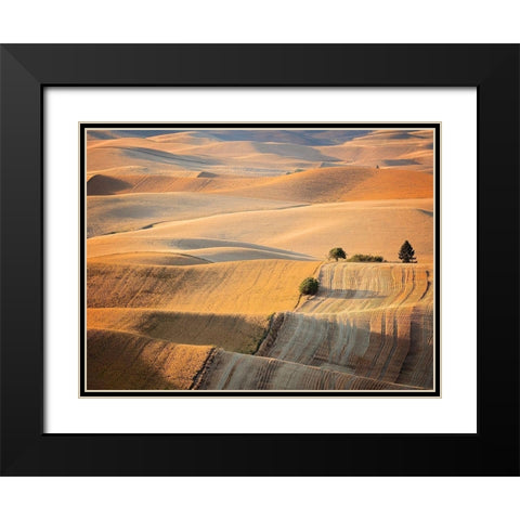 Farm and Field III Black Modern Wood Framed Art Print with Double Matting by PHBurchett