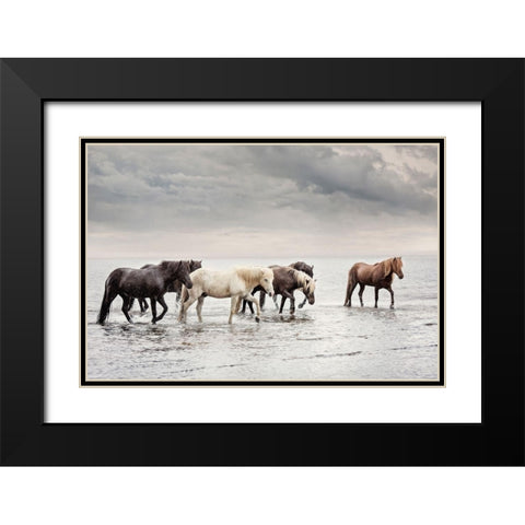 Water Horses IV Black Modern Wood Framed Art Print with Double Matting by PHBurchett