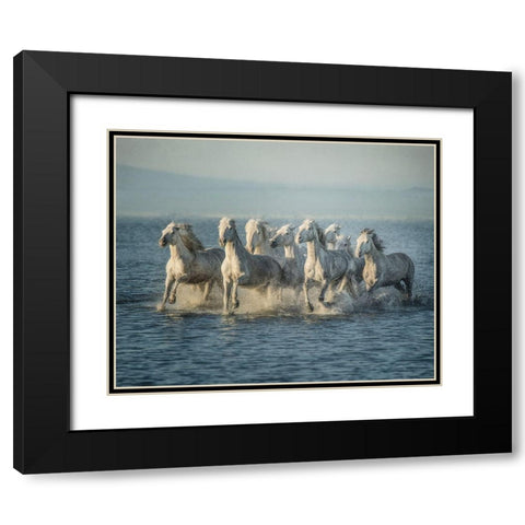 Water Horses VI Black Modern Wood Framed Art Print with Double Matting by PHBurchett