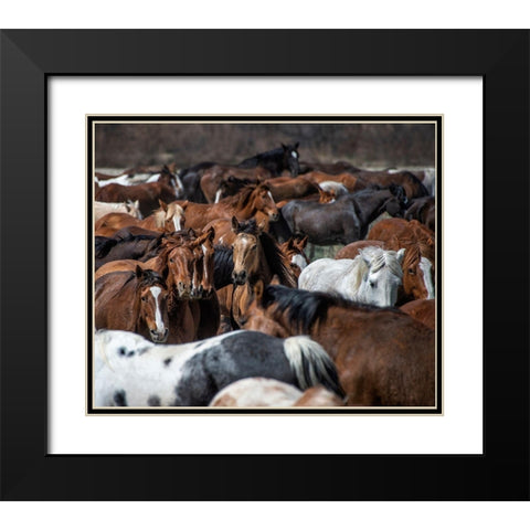 Horse Back Black Modern Wood Framed Art Print with Double Matting by PHBurchett