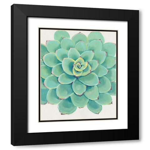 Pastel Succulent III Black Modern Wood Framed Art Print with Double Matting by OToole, Tim