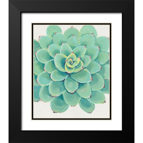 Pastel Succulent III Black Modern Wood Framed Art Print with Double Matting by OToole, Tim