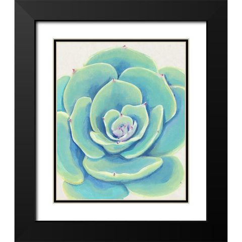 Pastel Succulent IV Black Modern Wood Framed Art Print with Double Matting by OToole, Tim