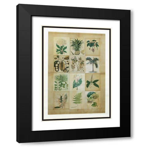 Botanical Sampler II Black Modern Wood Framed Art Print with Double Matting by Vision Studio