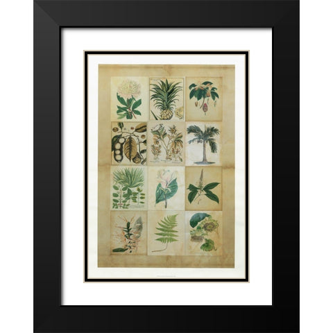 Botanical Sampler II Black Modern Wood Framed Art Print with Double Matting by Vision Studio