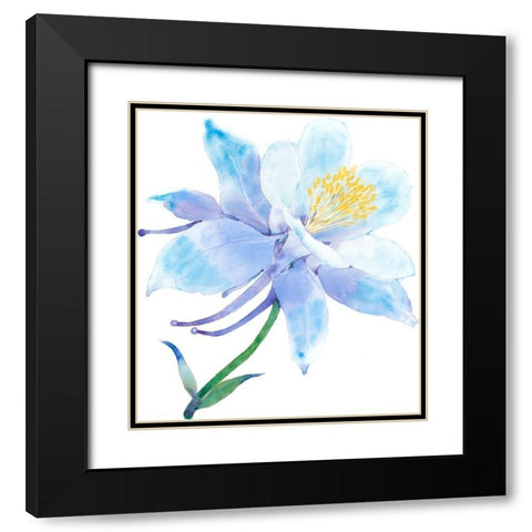 Columbine Bloom I Black Modern Wood Framed Art Print with Double Matting by Tim OToole