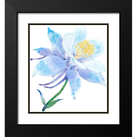 Columbine Bloom I Black Modern Wood Framed Art Print with Double Matting by Tim OToole