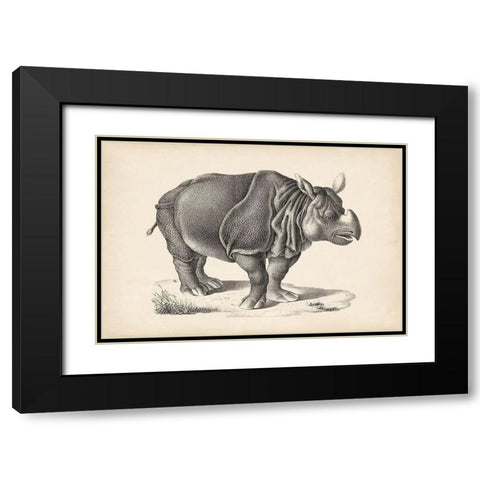 Brodtmann Rhinoceros Black Modern Wood Framed Art Print with Double Matting by Brodtmann