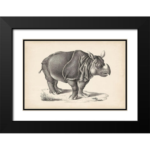 Brodtmann Rhinoceros Black Modern Wood Framed Art Print with Double Matting by Brodtmann