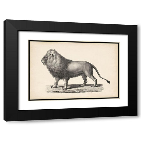 Brodtmann Lion Black Modern Wood Framed Art Print with Double Matting by Brodtmann