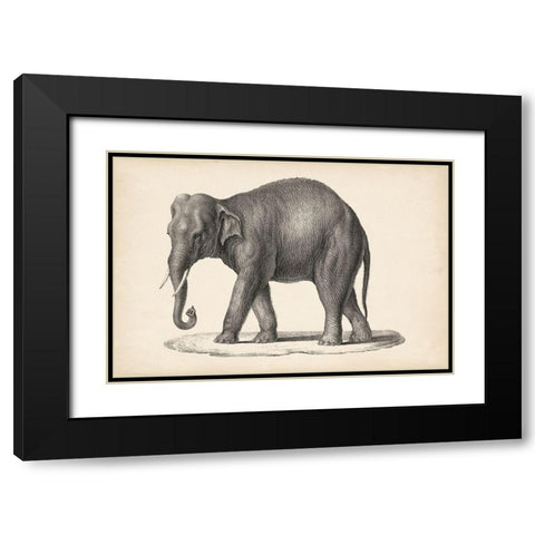 Brodtmann Elephant Black Modern Wood Framed Art Print with Double Matting by Brodtmann