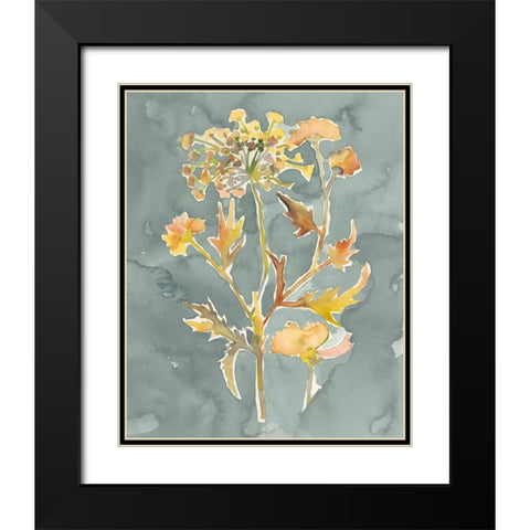 Collected Florals I Black Modern Wood Framed Art Print with Double Matting by Zarris, Chariklia