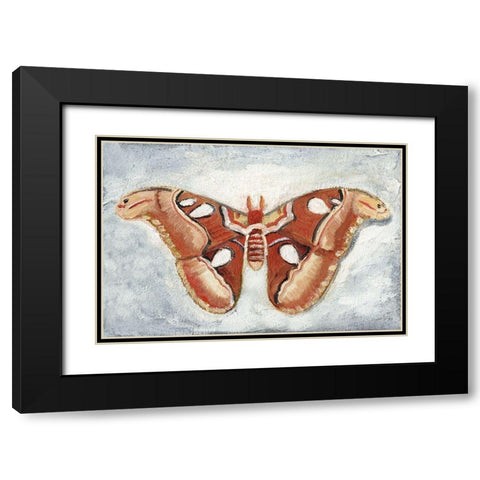 Papillon de Nuit I Black Modern Wood Framed Art Print with Double Matting by Ludwig, Alicia