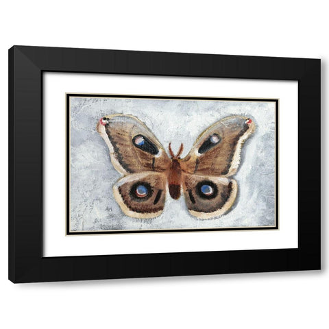 Papillon de Nuit II Black Modern Wood Framed Art Print with Double Matting by Ludwig, Alicia