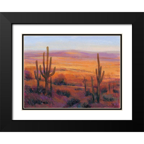 Desert Light II Black Modern Wood Framed Art Print with Double Matting by OToole, Tim