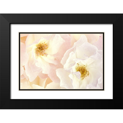 Pink Blossoms II Black Modern Wood Framed Art Print with Double Matting by Zalewski, Christine