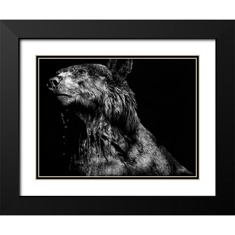 Ursa Major Black Modern Wood Framed Art Print with Double Matting by Chapman, Julie T.