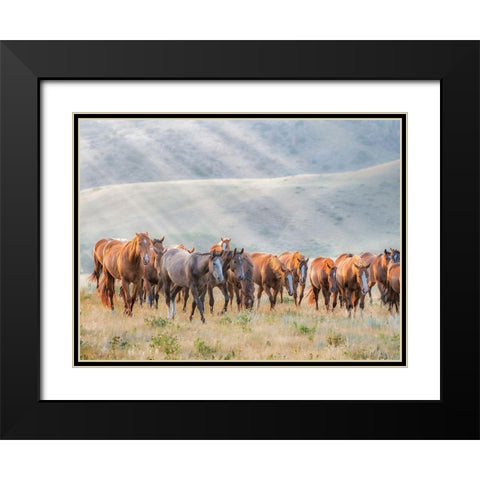 Sunkissed Horses III Black Modern Wood Framed Art Print with Double Matting by PHBurchett