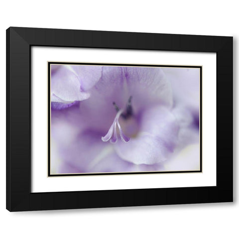 A Gift in Purple II Black Modern Wood Framed Art Print with Double Matting by Hunt, Gillian