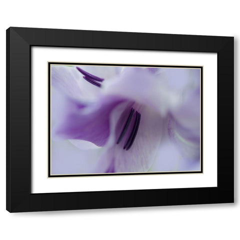 A Gift in Purple III Black Modern Wood Framed Art Print with Double Matting by Hunt, Gillian
