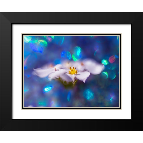 Jewels of the Enchanted Forest VI Black Modern Wood Framed Art Print with Double Matting by Hunt, Gillian