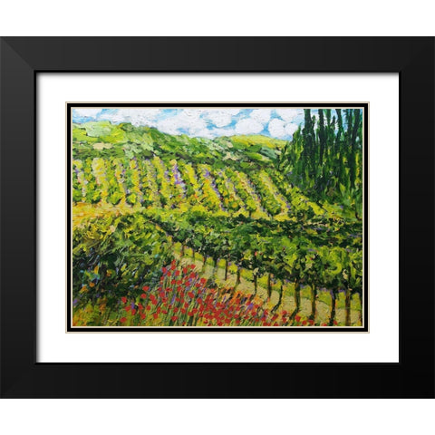 Mountain Vineyard Black Modern Wood Framed Art Print with Double Matting by Friedlander, Allan