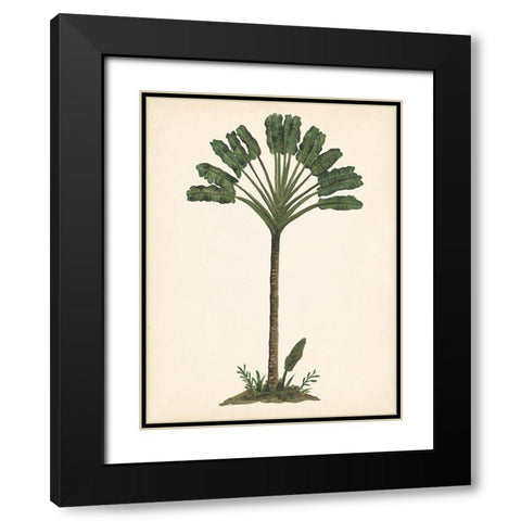 Palm Tree Study I Black Modern Wood Framed Art Print with Double Matting by Wang, Melissa