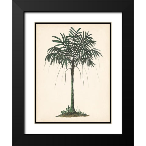 Palm Tree Study II Black Modern Wood Framed Art Print with Double Matting by Wang, Melissa
