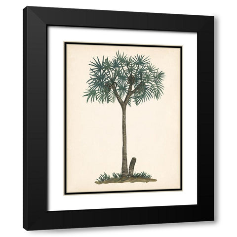 Palm Tree Study III Black Modern Wood Framed Art Print with Double Matting by Wang, Melissa