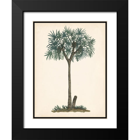 Palm Tree Study III Black Modern Wood Framed Art Print with Double Matting by Wang, Melissa