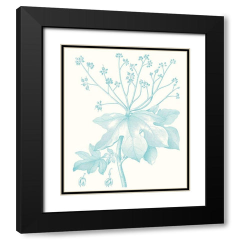 Botanical Study in Spa I Black Modern Wood Framed Art Print with Double Matting by Vision Studio