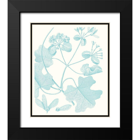 Botanical Study in Spa II Black Modern Wood Framed Art Print with Double Matting by Vision Studio