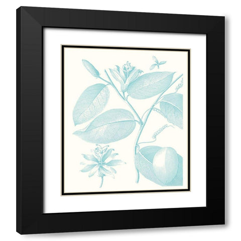 Botanical Study in Spa III Black Modern Wood Framed Art Print with Double Matting by Vision Studio