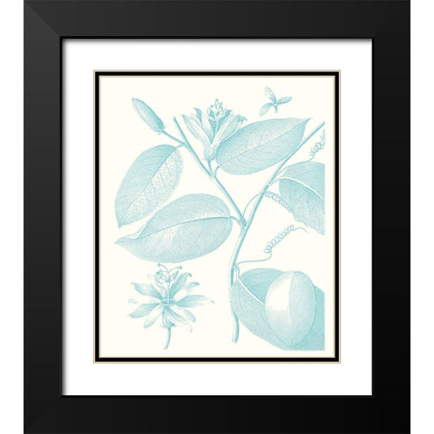 Botanical Study in Spa III Black Modern Wood Framed Art Print with Double Matting by Vision Studio