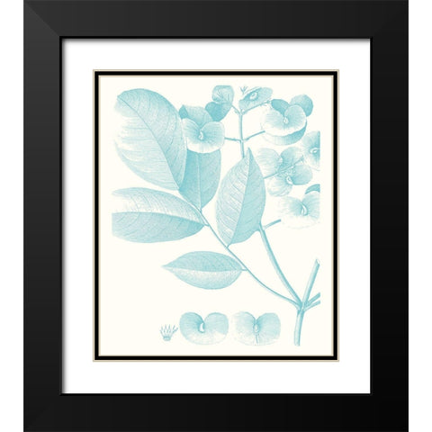 Botanical Study in Spa V Black Modern Wood Framed Art Print with Double Matting by Vision Studio