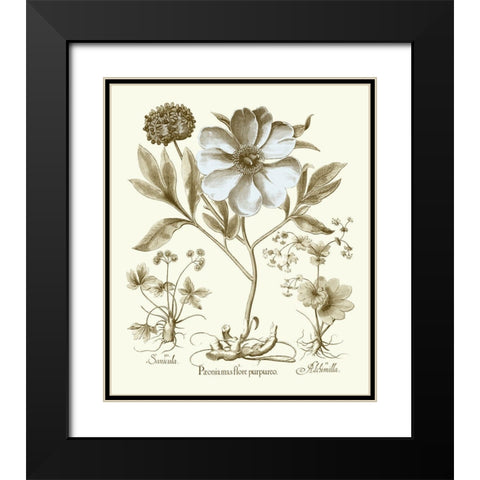 Spa Peonies II Black Modern Wood Framed Art Print with Double Matting by Besler, Basilius