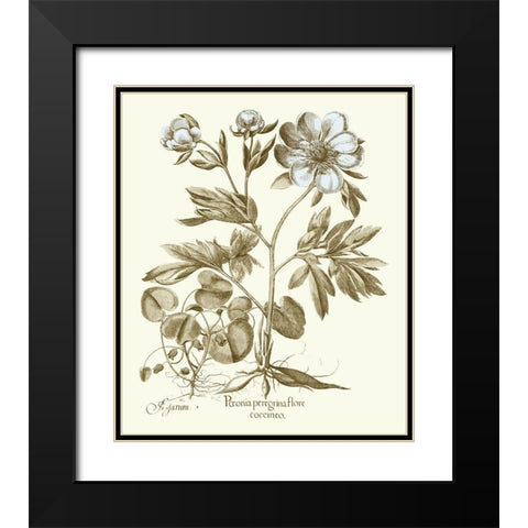 Spa Peonies III Black Modern Wood Framed Art Print with Double Matting by Besler, Basilius