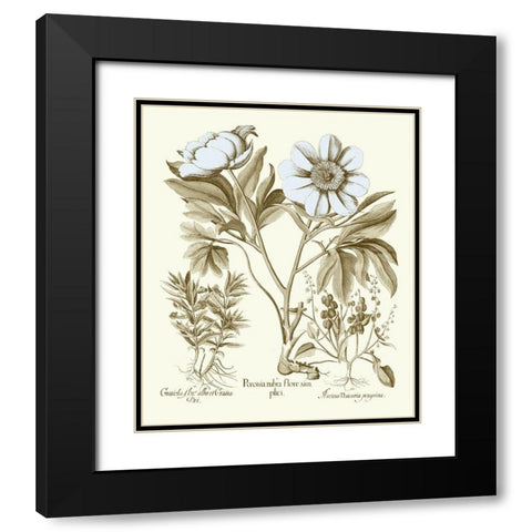 Spa Peonies IV Black Modern Wood Framed Art Print with Double Matting by Besler, Basilius